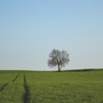featured-image-1