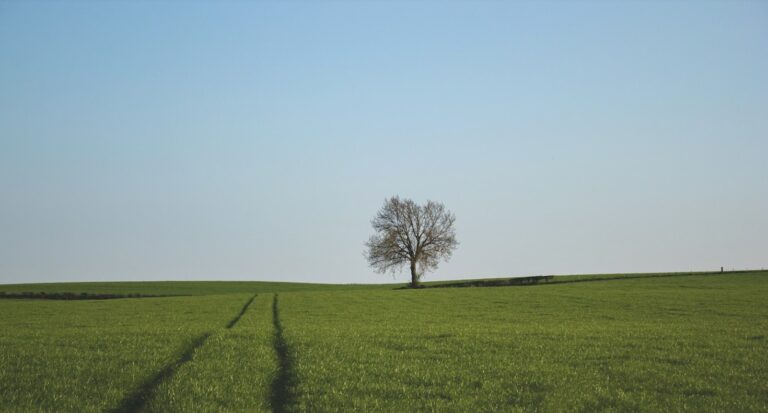 featured-image-1